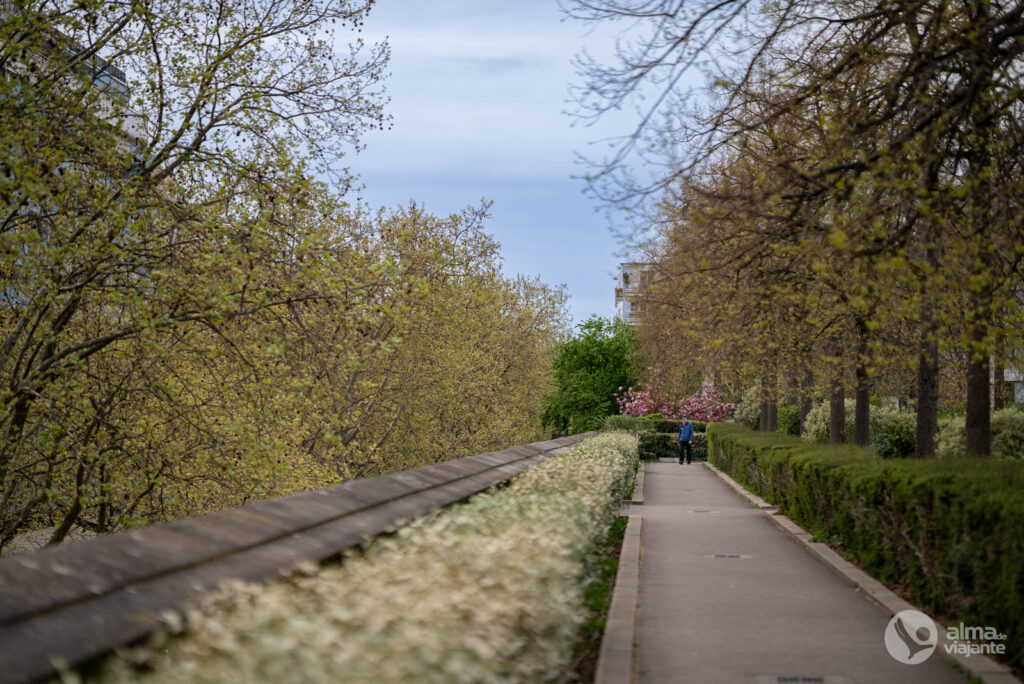 Visitar Paris na Primavera