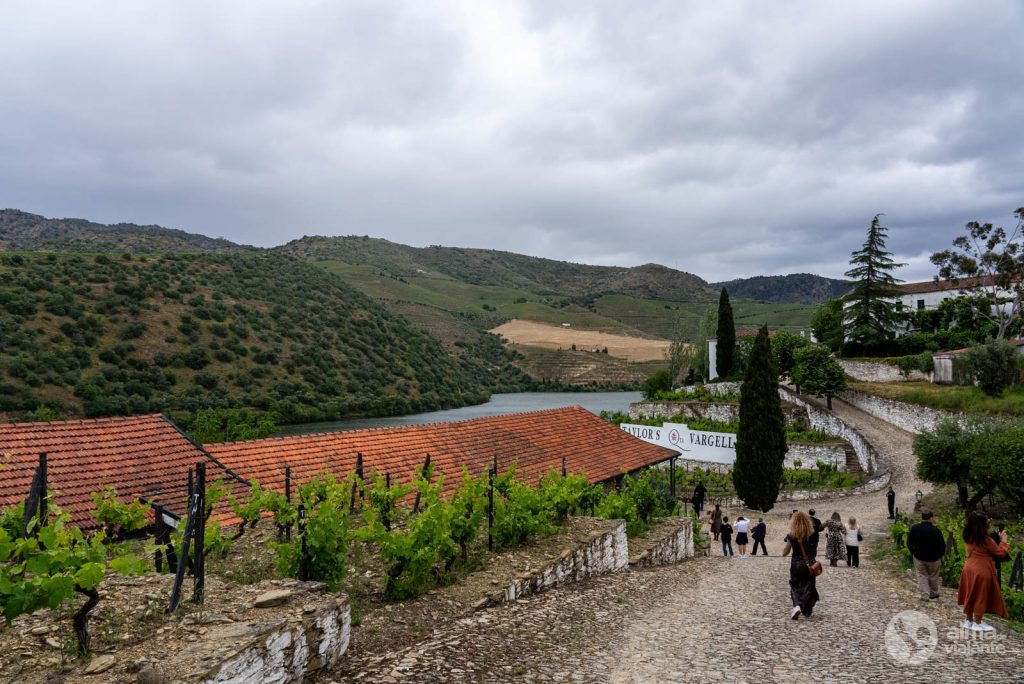 Quinta de Vargellas, Douro