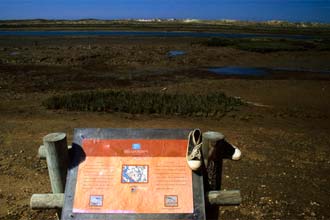 Painéis informativos sobre a Ria Formosa