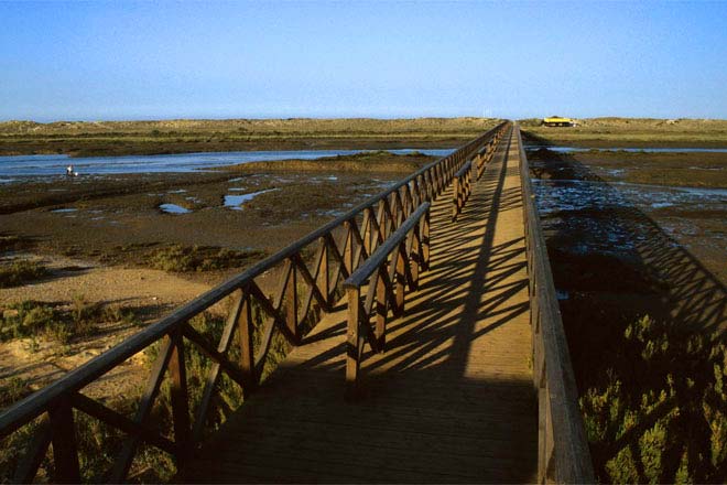 Ria Formosa