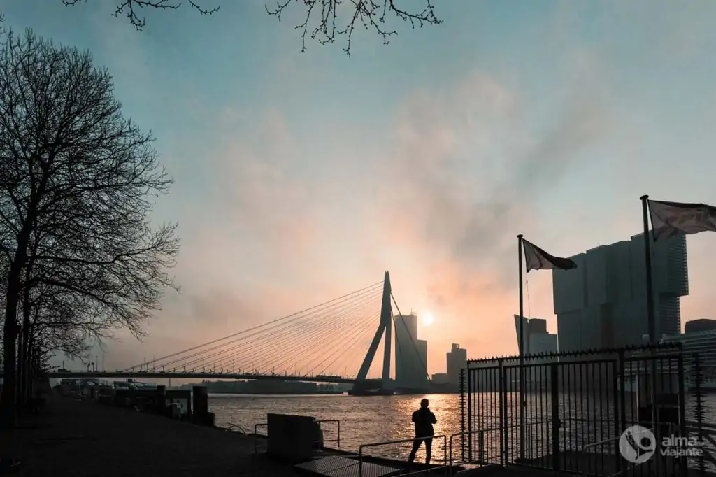 O que visitar em Roterdão: ponte Erasmus