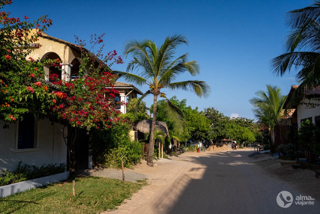Visitar Jericoacoara