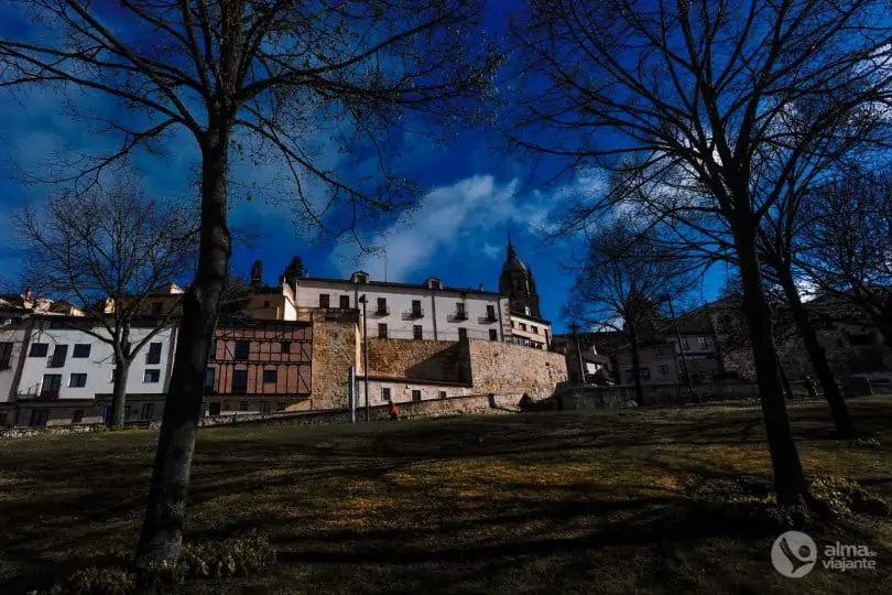 O que fazer em Salamanca: passear no centro