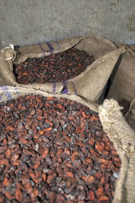 Saco de cacau, principal fonte de rendimento da roça Água Izé