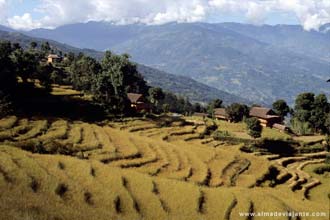 Taplejung, Nepal