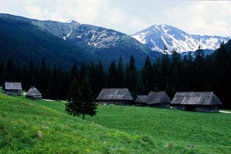 Vale de Dolina Chocholowska, Polónia
