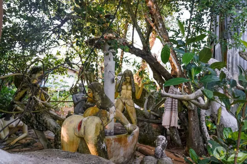 The Kingdom of Somchai’s Affection