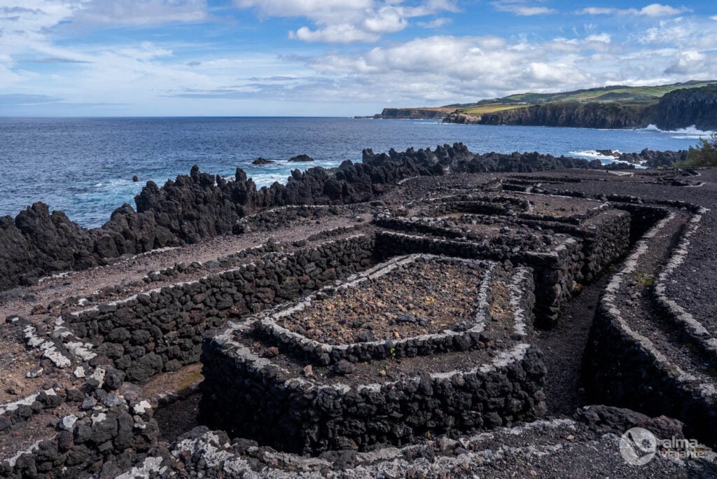 Trincheiras Militares de Biscoitos