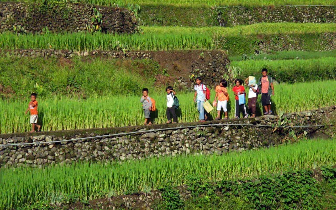 Terraços de arroz de Banaue