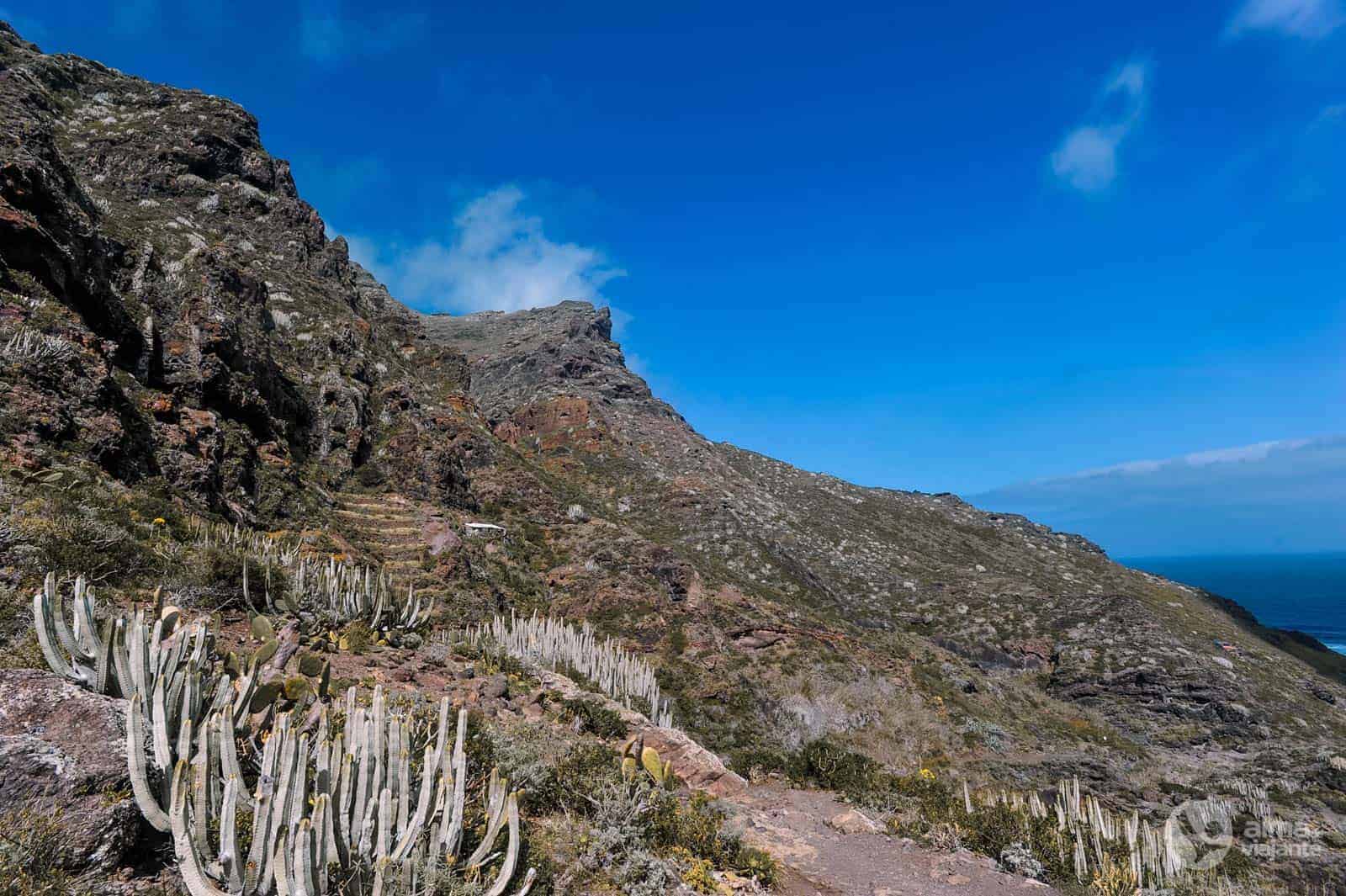 O belo trilho PR-TF 8 Afur - Taganana - Afur (Parque Rural de Anaga)
