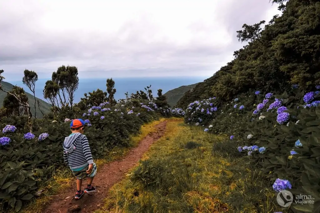 Trekking em São Jorge com crianças: PR1SJO