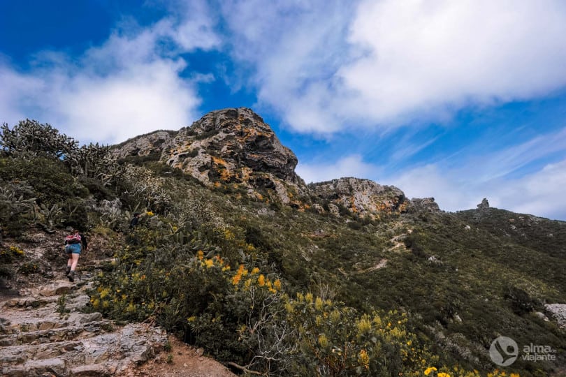 Trekking Chamorga - Roque Bermejo, Anaga