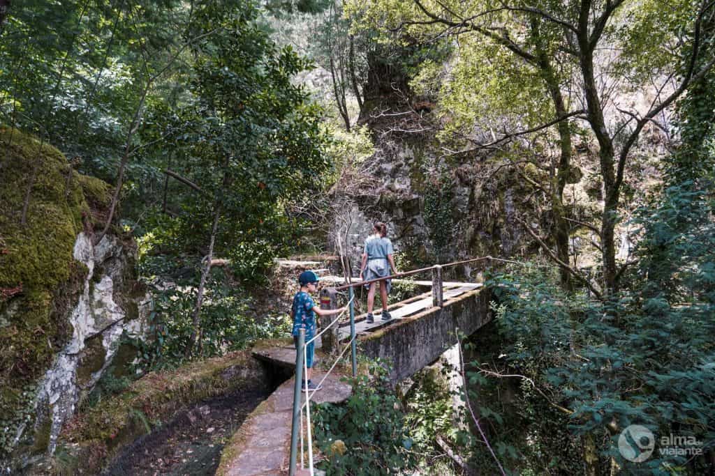 Fazer o trilho da Levada com crianças