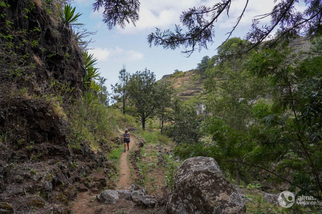 Trekking Pinhão - Lombo Branco - Sinagoga