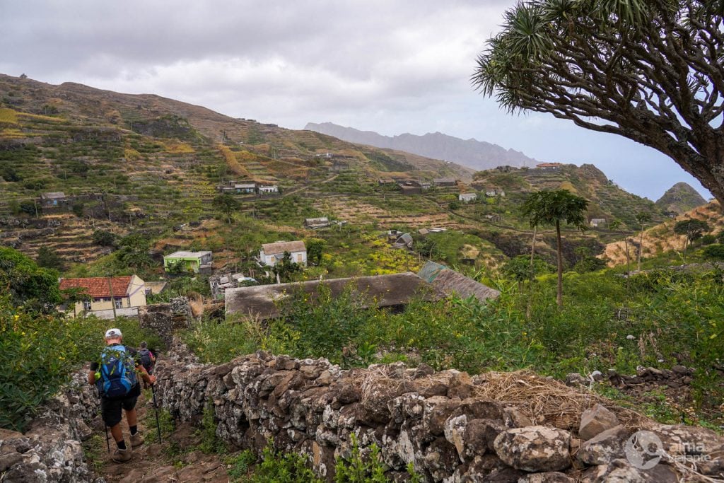 Turistas a fazer trekking em Santo Antão