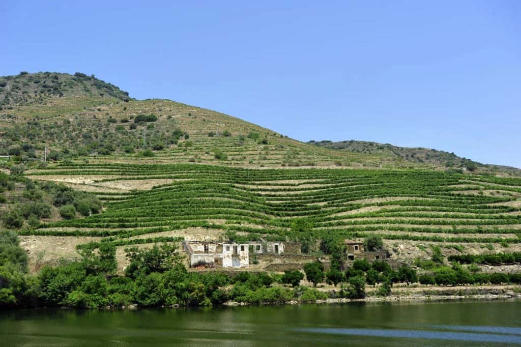 Paisagem típica do Douro vinhateiro