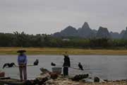Velhos pescadores com as suas aves piscatórias em Yangshuo